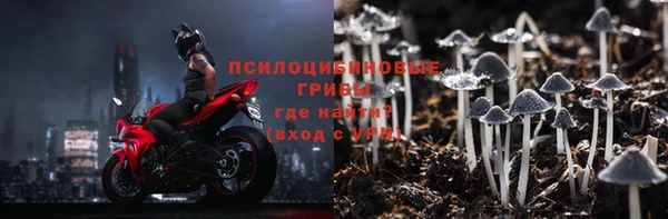 дурь Арсеньев