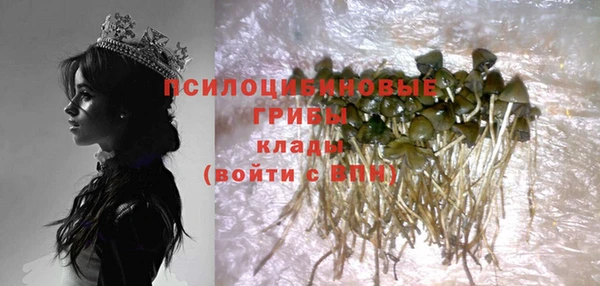 дурь Арсеньев