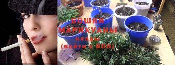 дурь Арсеньев