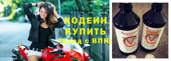 дурь Арсеньев