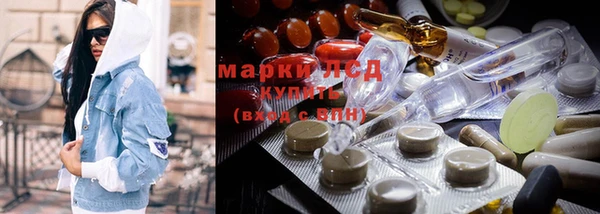 индика Баксан