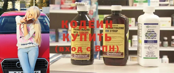 индика Баксан