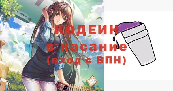 дурь Арсеньев
