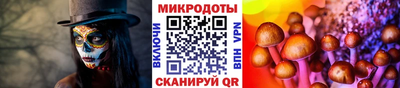 Галлюциногенные грибы прущие грибы  гидра   Сосновоборск 