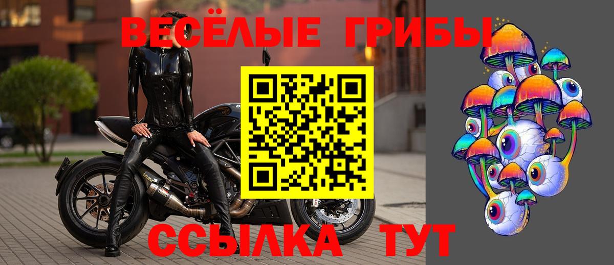Сосновоборск  продажа наркотиков  Галлюциногенные грибы мицелий  Вход с VPN  Галлюциногенные грибы мицелий 
