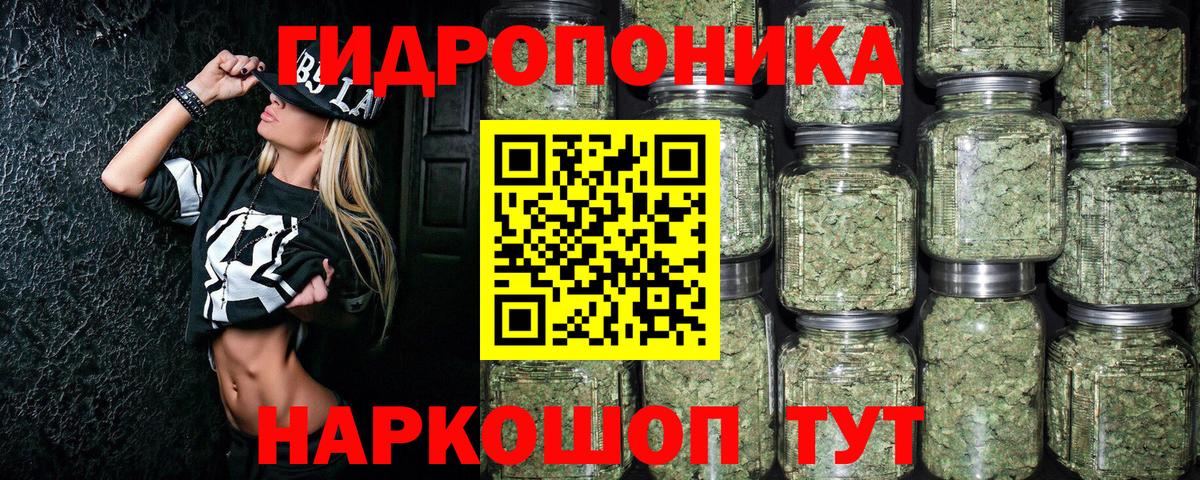Сосновоборск  Канабис Amnesia  Вход с VPN  Конопля OG Kush  Каннабис Bruce Banner 